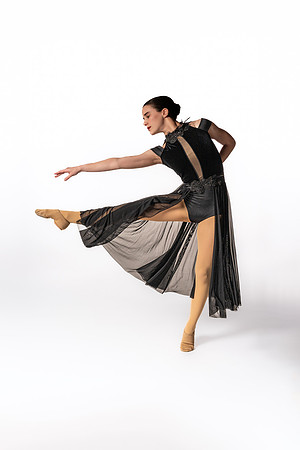 Z61_7395-Edit