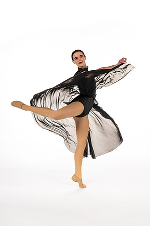Z61_7387-Edit